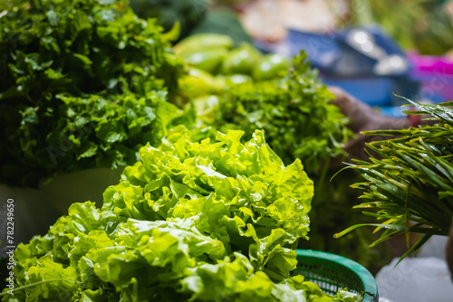 Fresh Green lettuce leaves kept in market for selling. This leafy vegetables have many health benefits.