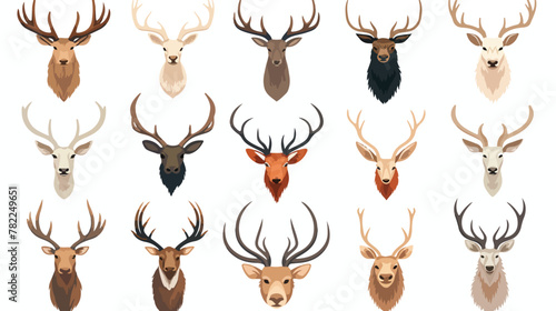 Antlers of wild animals vector illustrations set. S