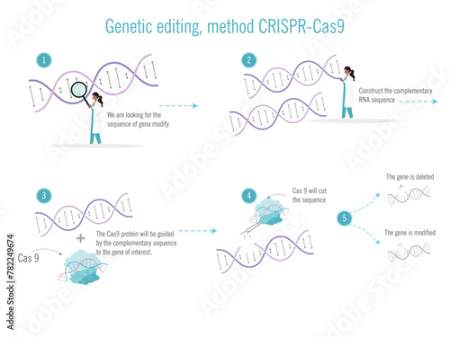 A woman is editing a genetic sequence. She is using a CRISPR Cas9 method. The image is a four-panel illustration of the proces