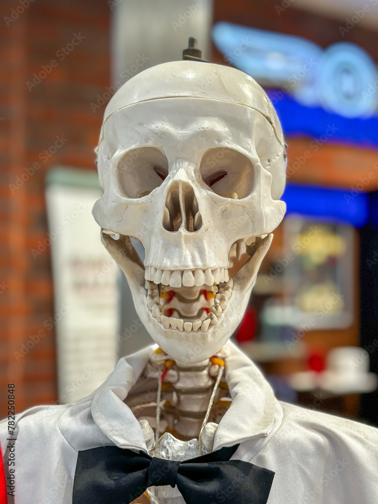 A skeleton wearing a white shirt and black bow tie A skeleton wearing a white shirt and black bow tie