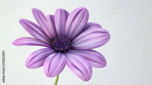 A beautiful purple flower in full bloom against a soft white background. The petals are delicate and have a velvety texture.
