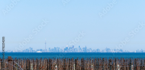 A Distant View of the Toronto Skyline from a Vineyard in Niagara-on-the-Lake
