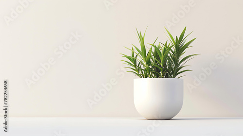A beautiful minimalist photo of a green plant in a white pot on a white table against a beige background.