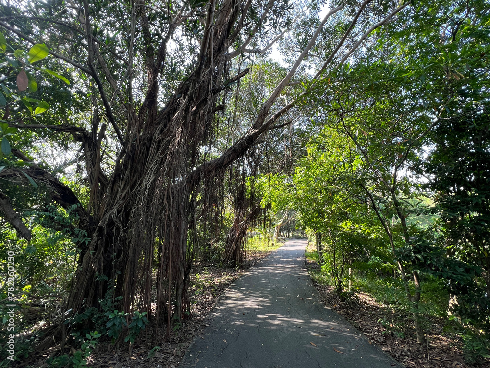 Si Nakhon Khuean Khan park at Bang Kachao in Bangkok Si Nakhon Khuean Khan park at Bang Kachao in Bangkok