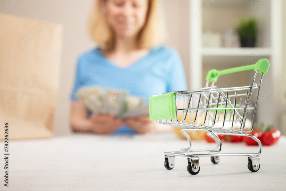 Φωτογραφία Shopping cart on background woman with money, wholesale purchase, woman counting