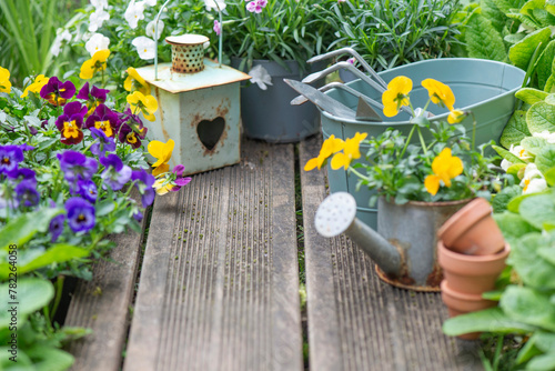 pretty colorful flowers blooming  and arranged on part of wooden terrace with...