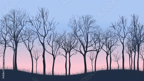 Silhouetted bare trees against a twilight sky