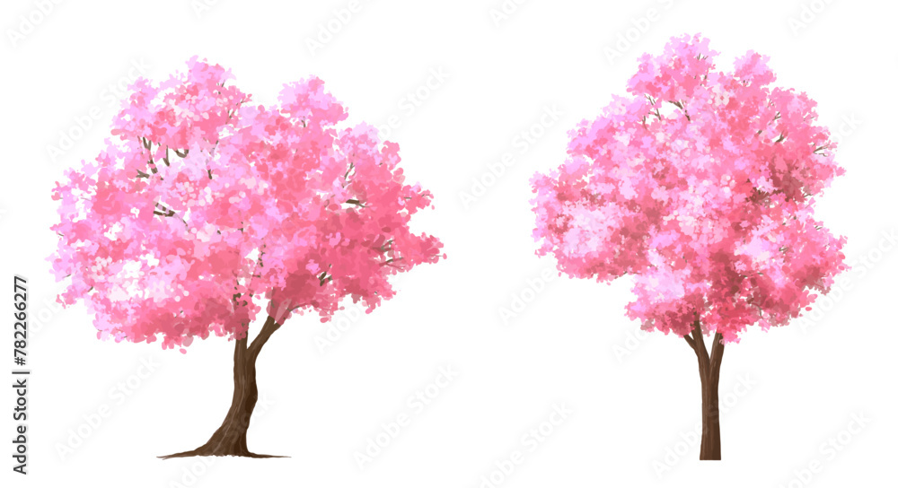  Vector watercolor blooming flower tree or forest side view isolated on white background for landscape and architecture drawing,elements for environment or and garden,Sakura tree for section 