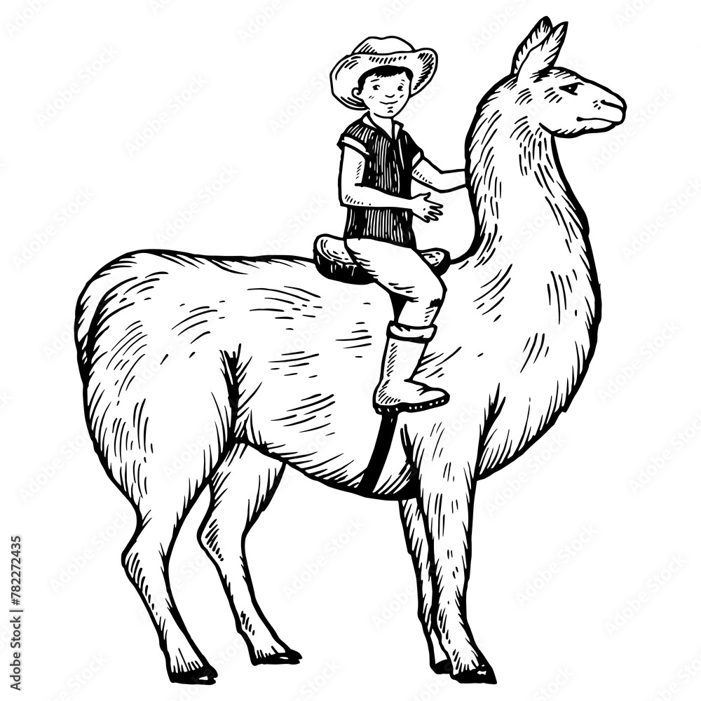 Fototapeta premium Child boy riding llama engraving PNG illustration. Scratch board style imitation. Black and white hand drawn image.