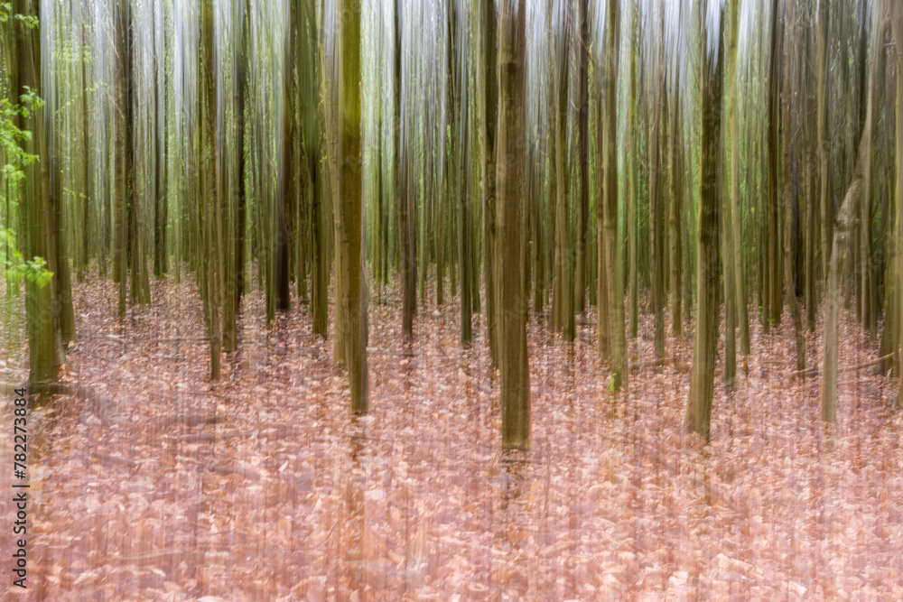 Abstract background, Blurred texture, trendy art, Background Of Trees Made Of Abstract Wood Low Shutter Panning Shot Abstract background, Blurred texture, trendy art, Background Of Trees Made Of Abstract Wood Low Shutter Panning Shot