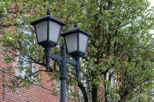 street lamp in the park,Lanterns against the tree , street lanterns Old vintage lanterns