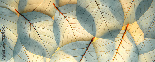 Background of leaves close up. Macro texture of leaf veins. Top view. Banner.