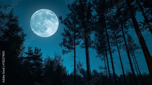 Full moon over a pine forest at night