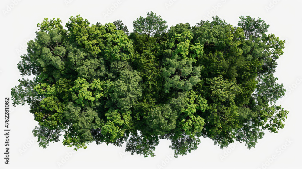 aerial view of woods, isolated, transparent aerial view of woods, isolated, transparent