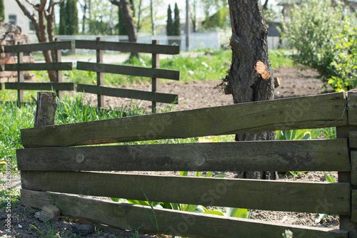 Small wooden fence in a garden