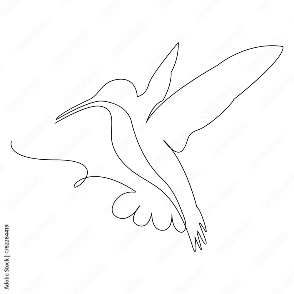Hummingbird Continuous one line drawing illustration art vector design Hummingbird Continuous one line drawing illustration art vector design