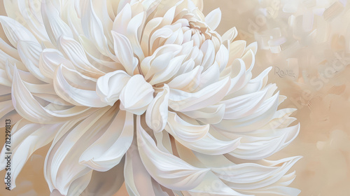 white flower  large white petals