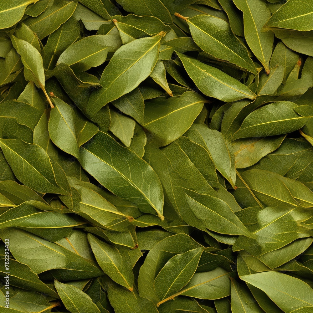 Dry Bay Leaves Pattern, Laurel Leaf Texture, Natural Spicy Bayleaf Background, Fragrant Ingredient Dry Bay Leaves Pattern, Laurel Leaf Texture, Natural Spicy Bayleaf Background, Fragrant Ingredient