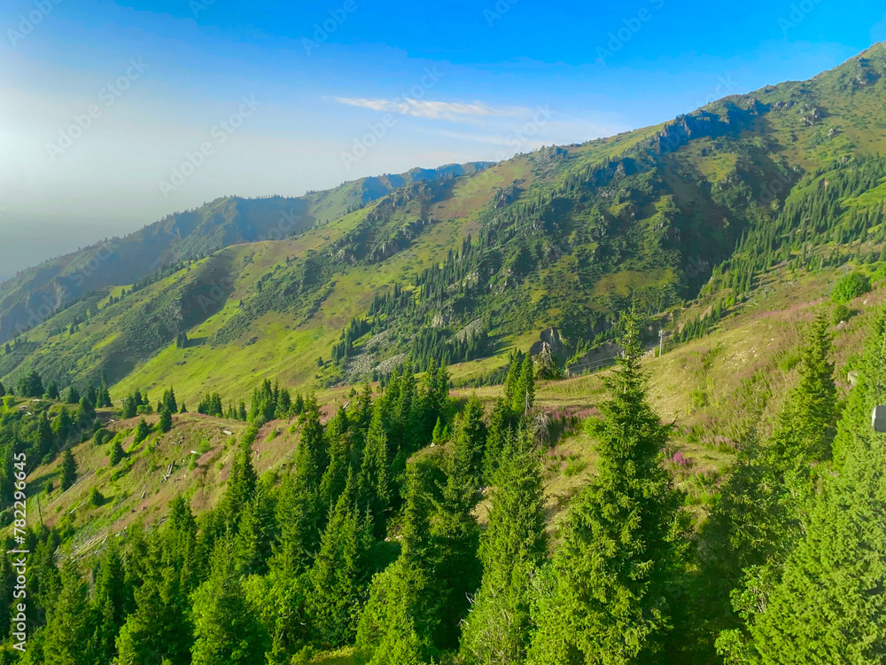 Naklejka premium summer landscape in the mountains