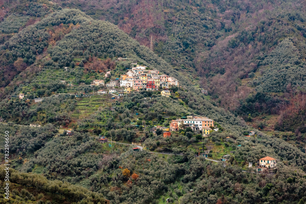 Typical colored houses of the Cinque Terre region in Italy