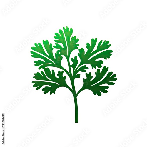 Green Parsley Icon  Coriander Leaf Silhouette  Greens Leave Flat Icon Isolated on White Background