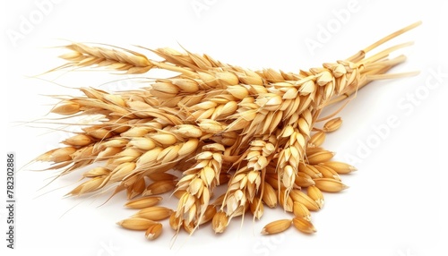 Barley isolated on white background