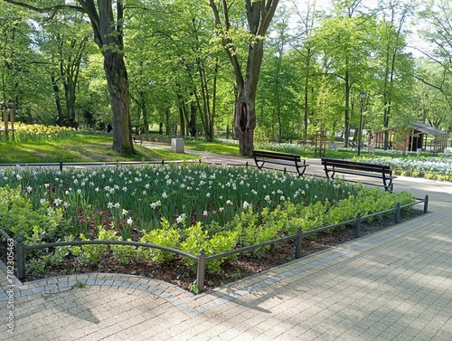 Fototapeta Naklejka Na Ścianę i Meble -  Spring in the park. European park with flowers, benches and alleys. Sunny day
