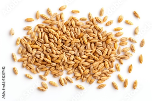 Wheat Grains Isolated, Barley Pile, Dry Cereal Seeds for Bread, Spelta Healthy Organic Food, Wheat Grains photo