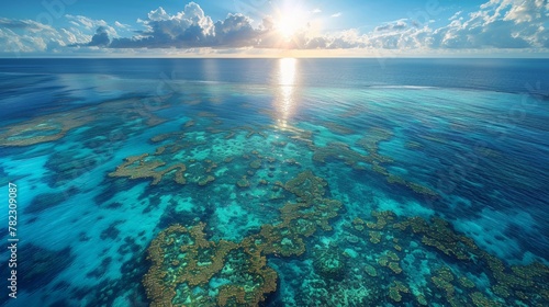 The crystal-clear waters allow for clear visibility of the reef's structure