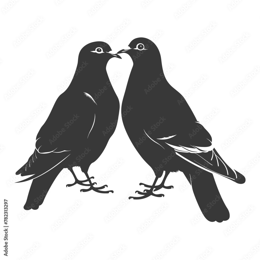 Silhouette dove bird animal couple pigeon black color only Silhouette dove bird animal couple pigeon black color only