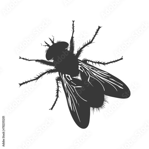 Silhouette Fly Insect animal black color only full © NikahGeh
