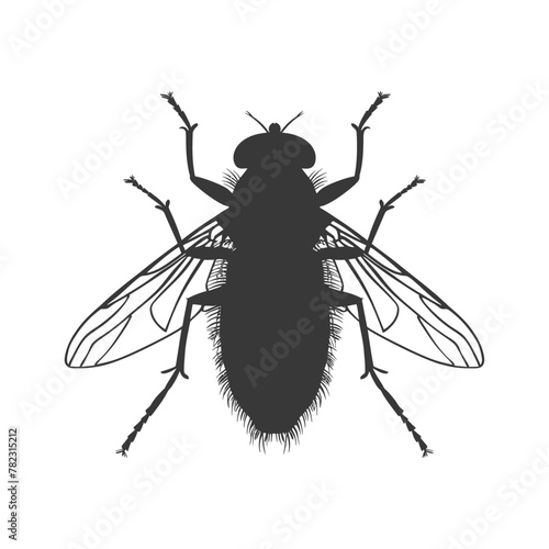 Silhouette Fly Insect animal black color only full