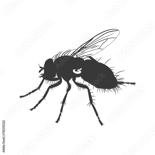 Silhouette Fly Insect animal black color only full © NikahGeh