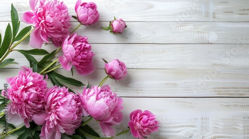 beautiful pink peonies arranged on a white wooden background, offering ample space for text in a top-down view, forming a charming floral border. © lililia