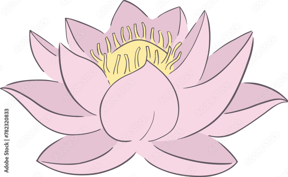 Nice lotus flower Nice lotus flower