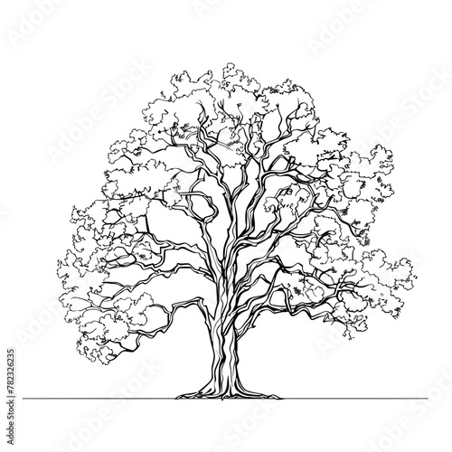  A simple black and white vector line drawing of an oak tree with its crown above the horizon on a blank background.