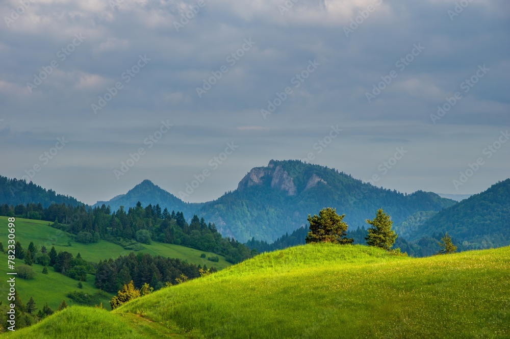 Spring in the Pieniny with Three Crowns mountain in the background. Mountain landscape with green meadows, hiking in spring nature. Spring in the Pieniny with Three Crowns mountain in the background. Mountain landscape with green meadows, hiking in spring nature.