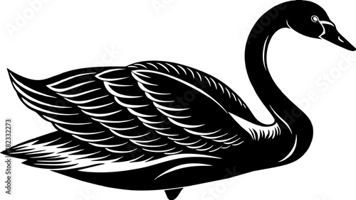 Trumpeter swan vector art illustration