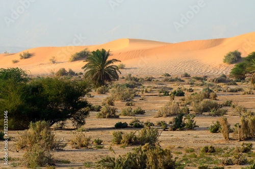 Dunas en el desierto de Wadi Araba en Jordania © BestTravelPhoto