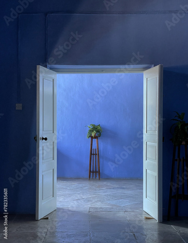 Geöffnete zweiflügelige blaue Türe mit einer blauen Wand dahinter, vor der ein Blumenstock auf einem Ständer steht