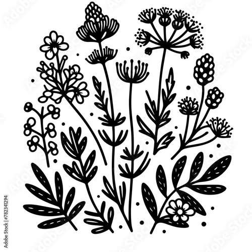 Wildflower Illustration