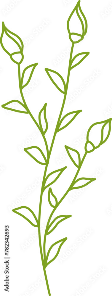 Obraz premium Botanical Line Vector