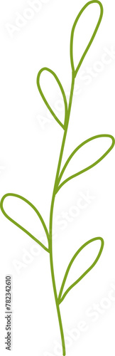 Botanical Line Vector