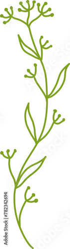 Botanical Line Vector