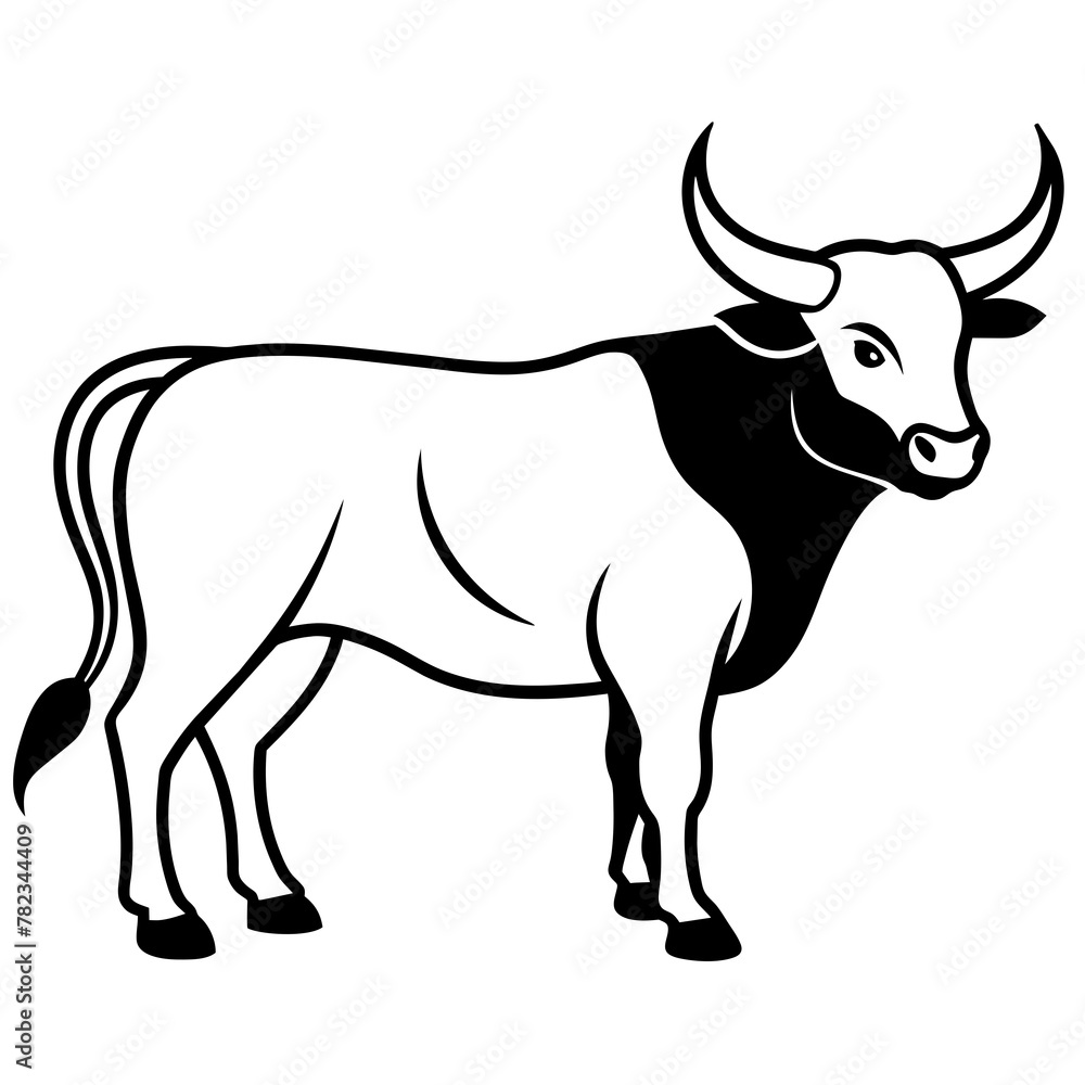 black and white bull black and white bull
