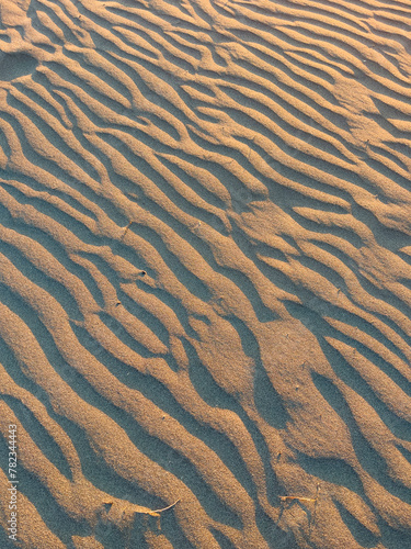 texture of sand beach in golden hour