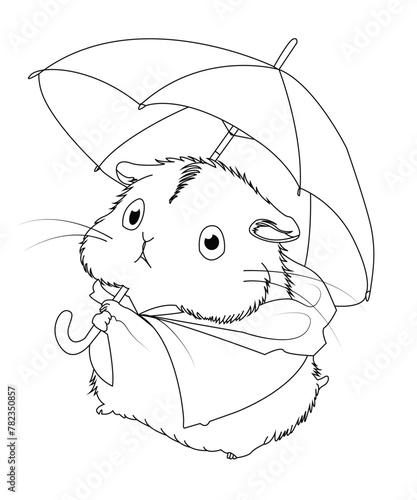 Hamster coloring book page for kids