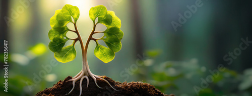 A sapling with leaves shaped like lungs sprouts from the earth, symbolizing life and growth. The biotic shape represents breath and vitality, emerging from the soil. World Environment Day. photo