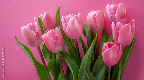 Pink tulip flower arrangement with pink background and copy space © Alexander