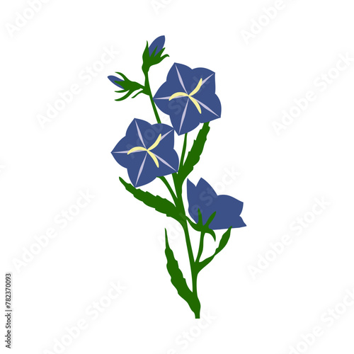 Bell Flower
